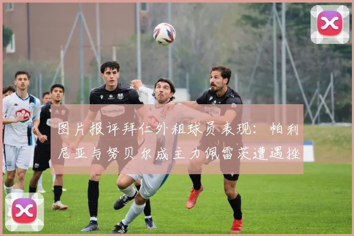 图片报评拜仁外租球员表现：帕利尼亚与努贝尔成主力佩雷茨遭遇挫折