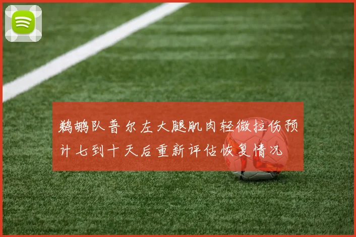 鹈鹕队普尔左大腿肌肉轻微拉伤预计七到十天后重新评估恢复情况