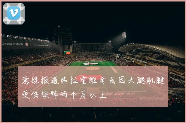 意媒报道弗拉霍维奇或因大腿肌腱受伤缺阵两个月以上