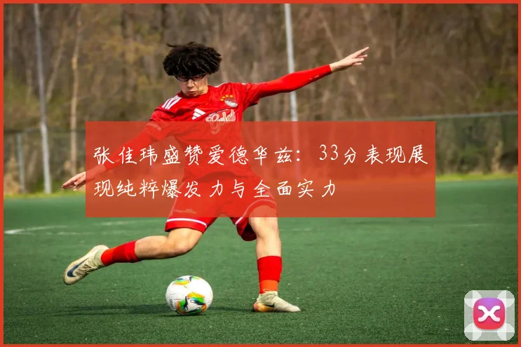 张佳玮盛赞爱德华兹：33分表现展现纯粹爆发力与全面实力