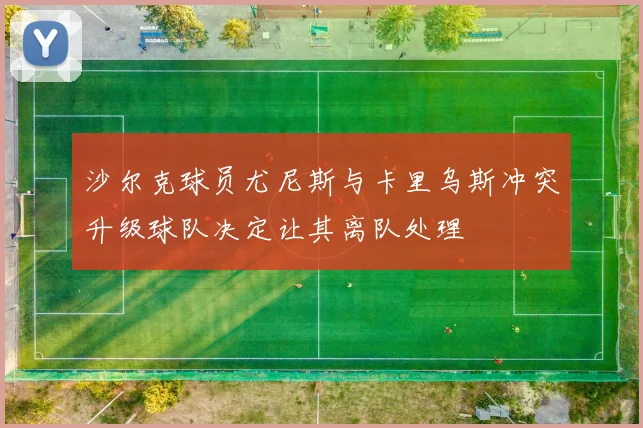 沙尔克球员尤尼斯与卡里乌斯冲突升级球队决定让其离队处理